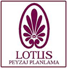 Lotus Peyzaş